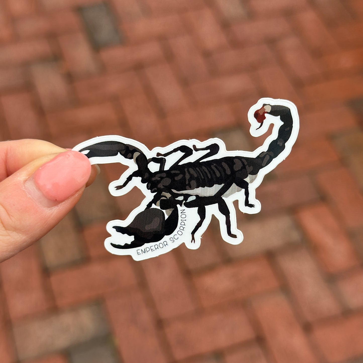 Emperor Scorpion Vinyl Sticker