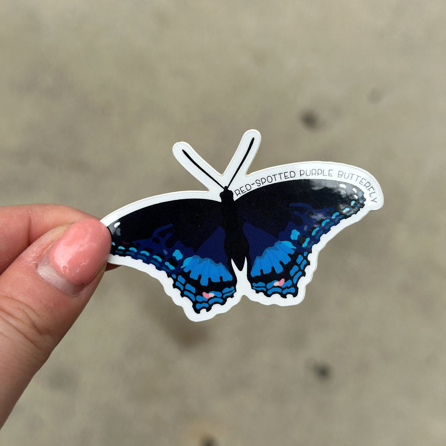 Red Spotted Purple Butterfly Vinyl Sticker