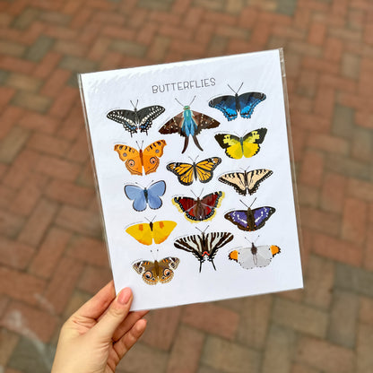 Butterfly Print