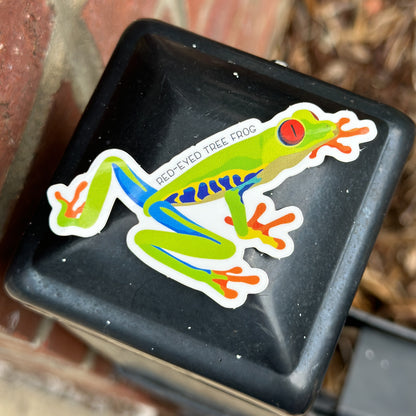 Red Eyed Tree Frog Vinyl Sticker