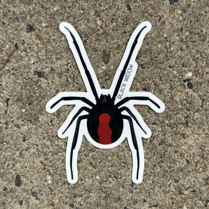 Black Widow Spider Vinyl Sticker