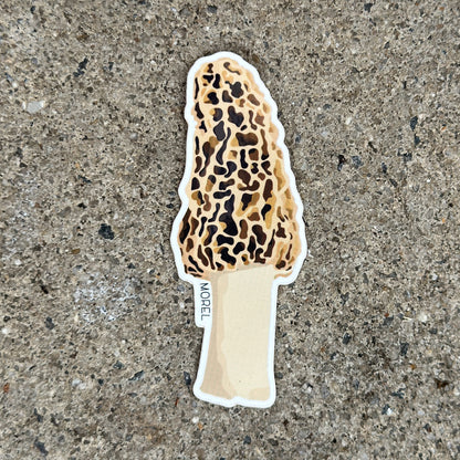 Morel Mushroom Vinyl Sticker