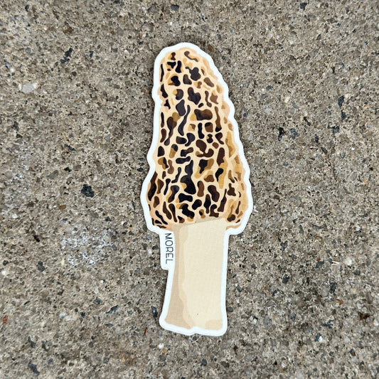 Morel Mushroom Vinyl Sticker