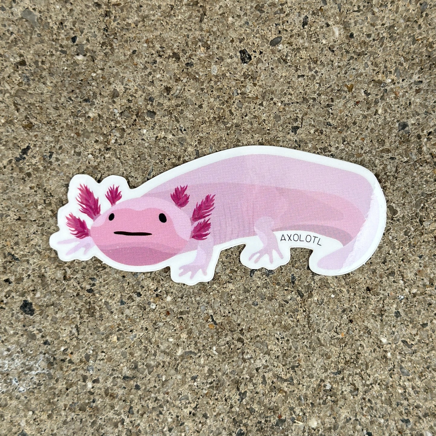 Axolotl Salamander Vinyl Sticker