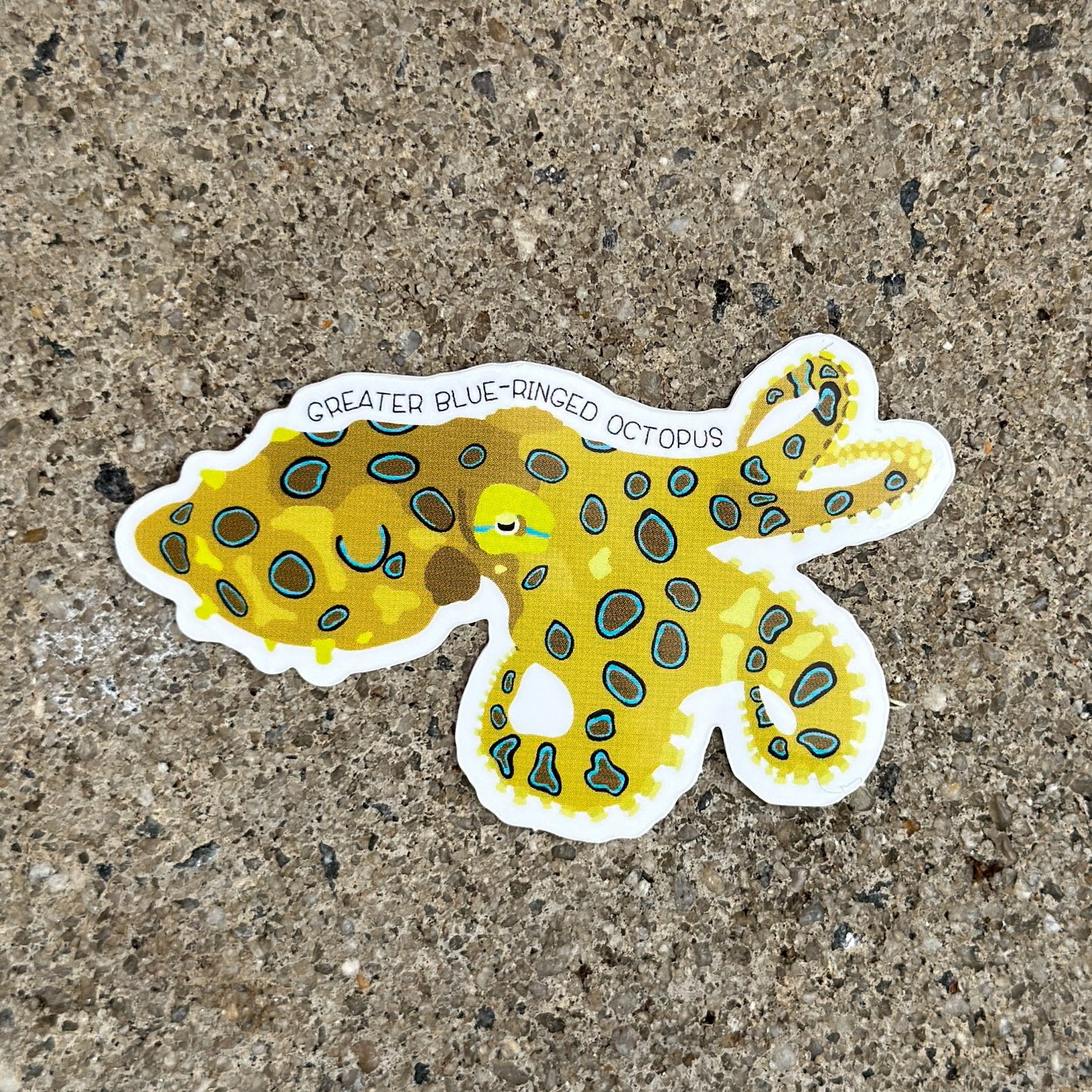 Greater Blue Ringed Octopus Vinyl Sticker