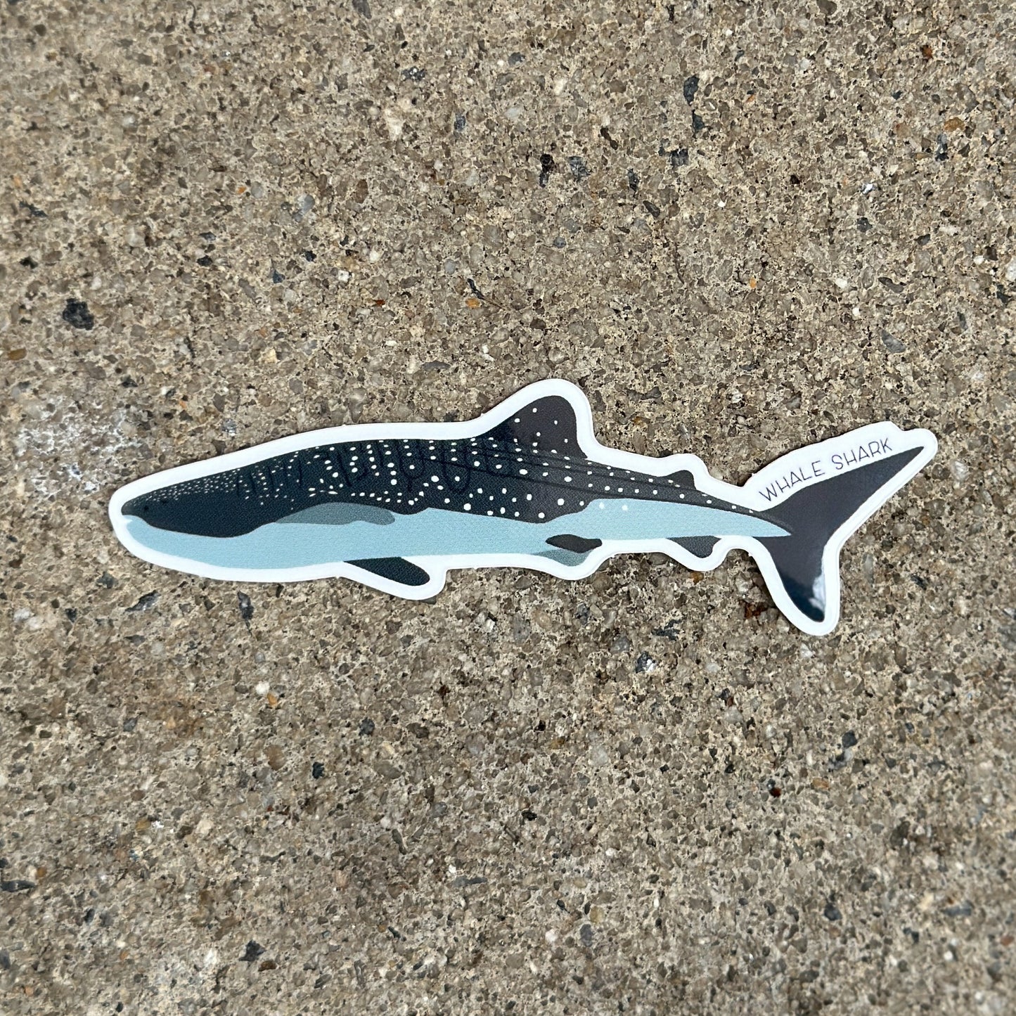 Whale Shark Vinyl Sticker