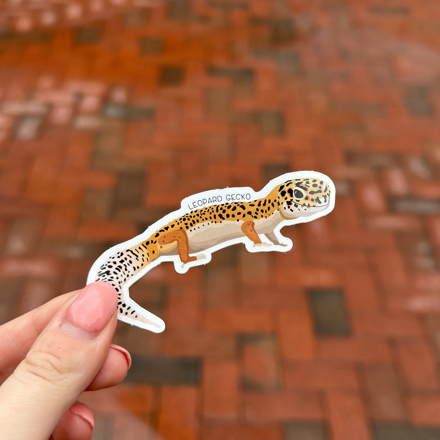 Leopard Gecko Vinyl Sticker