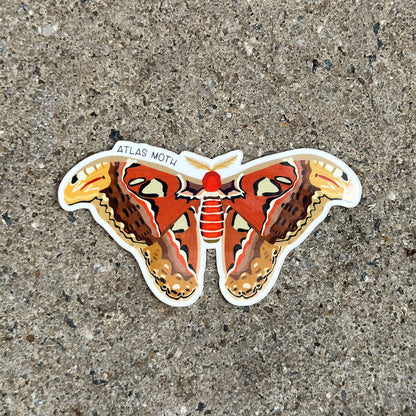 Atlas Moth Vinyl Sticker