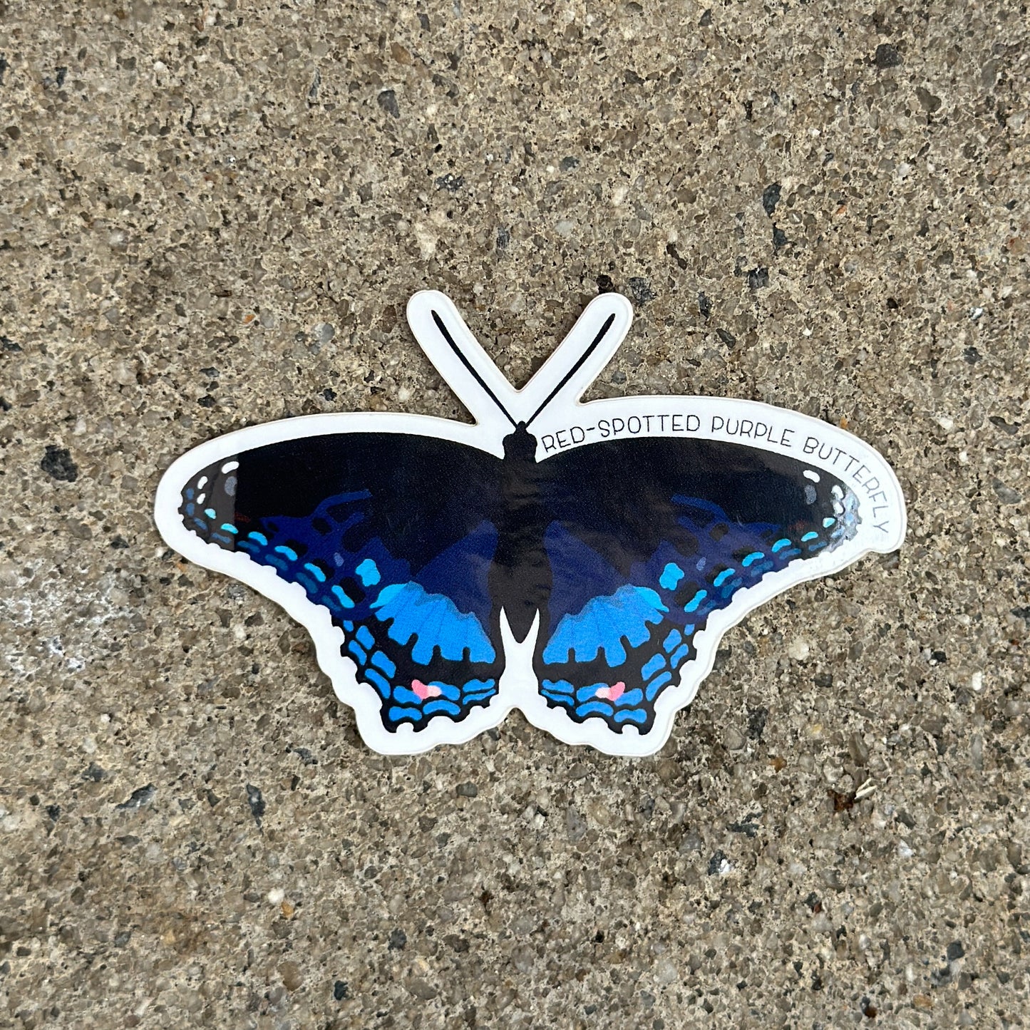 Red Spotted Purple Butterfly Vinyl Sticker