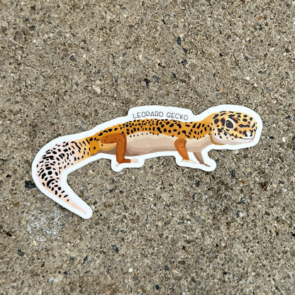 Leopard Gecko Vinyl Sticker