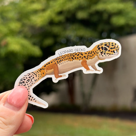 Leopard Gecko Vinyl Sticker