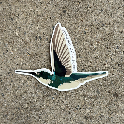 White-Throated Hummingbird Vinyl Sticker