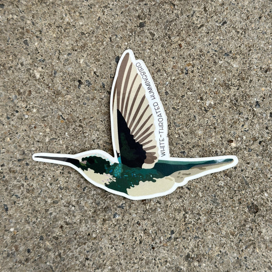 White-Throated Hummingbird Vinyl Sticker