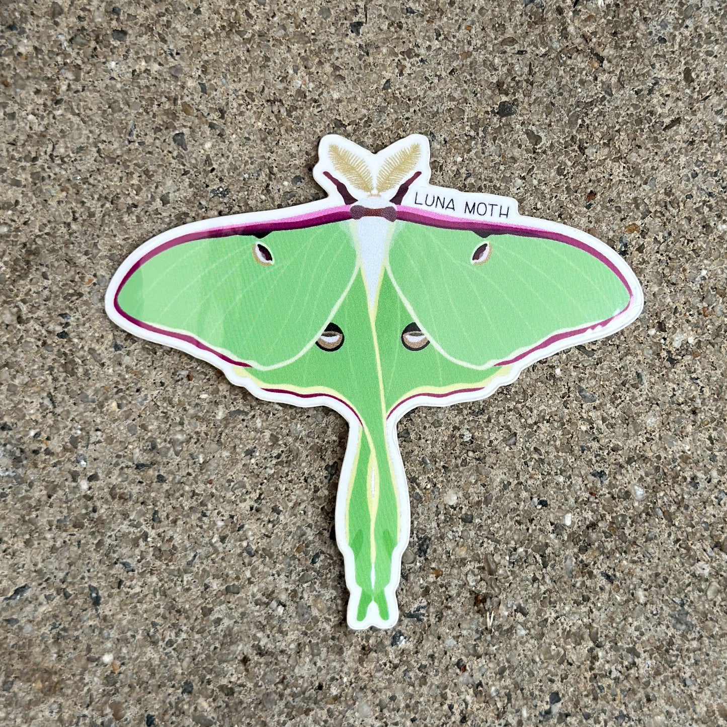 Luna Moth Vinyl Sticker