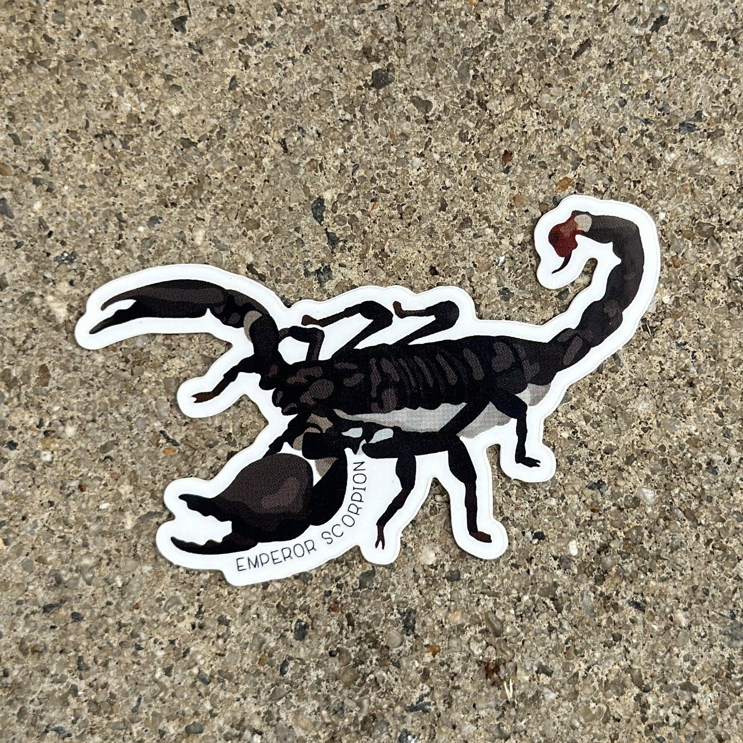 Emperor Scorpion Vinyl Sticker