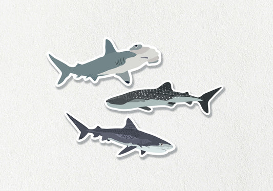 Shark Vinyl Stickers - 3 Pack