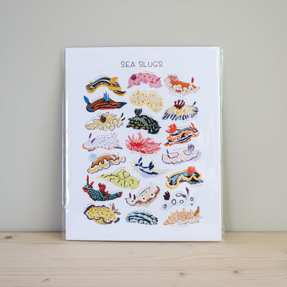 Sea Slug Print