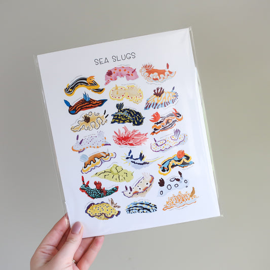 Sea Slug Print