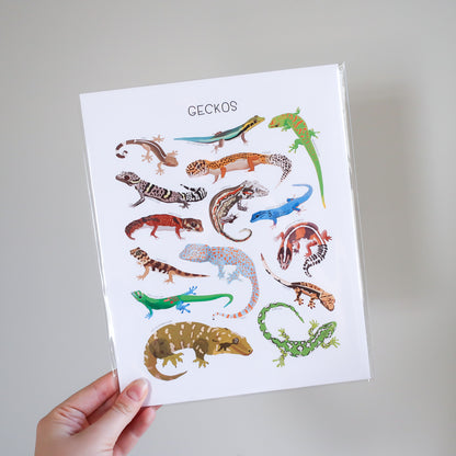 Geckos Print