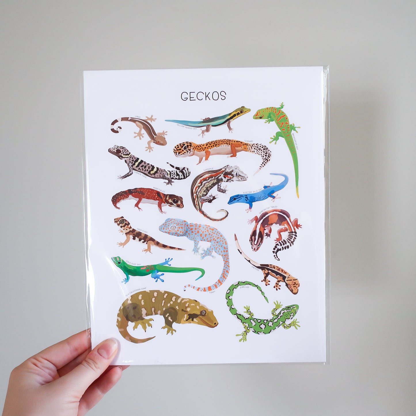 Geckos Print