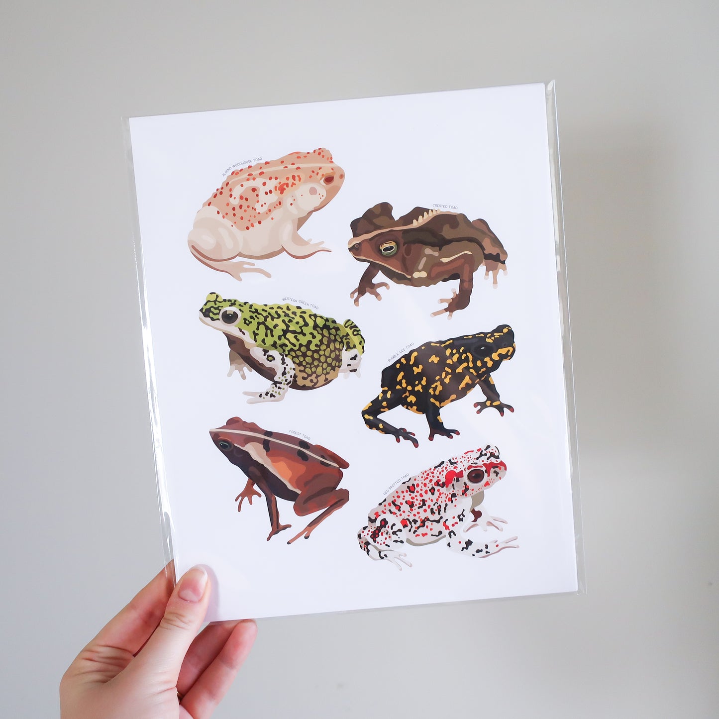 Toads Print