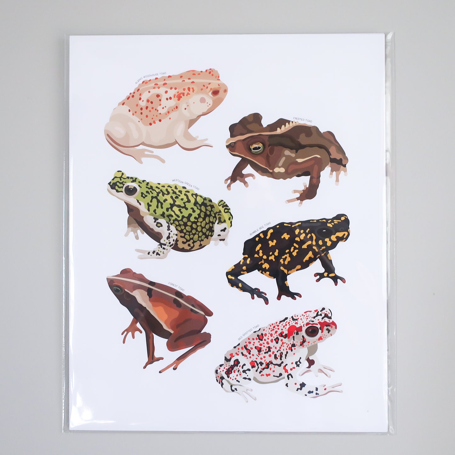 Toads Print