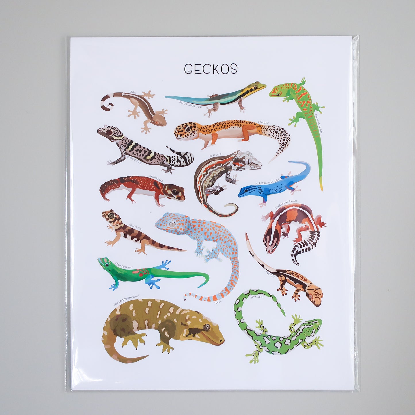 Geckos Print