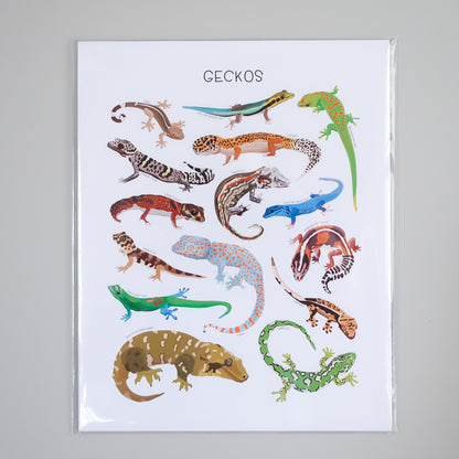 Geckos Print