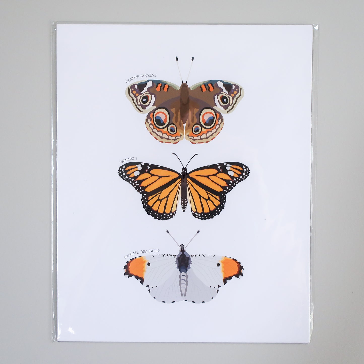 Orange Butterfly Trio Print