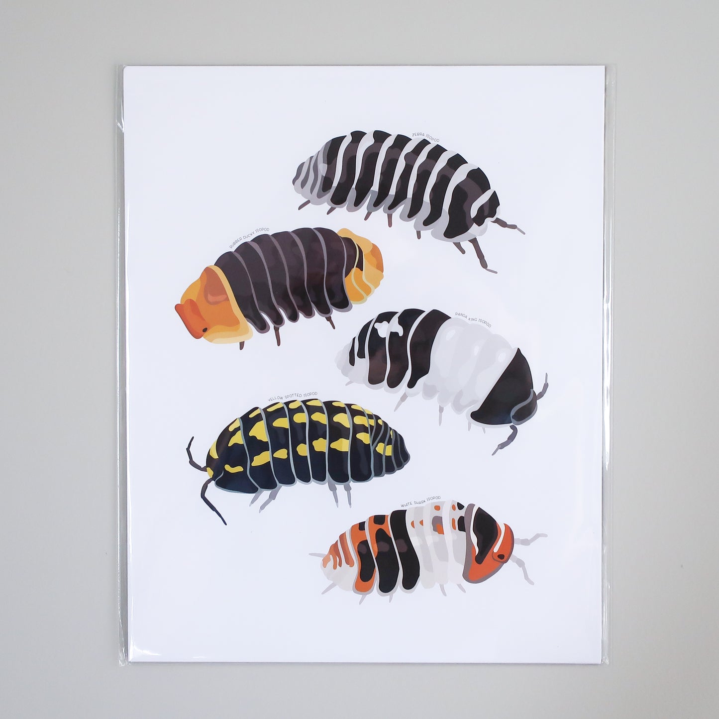 Isopods Print