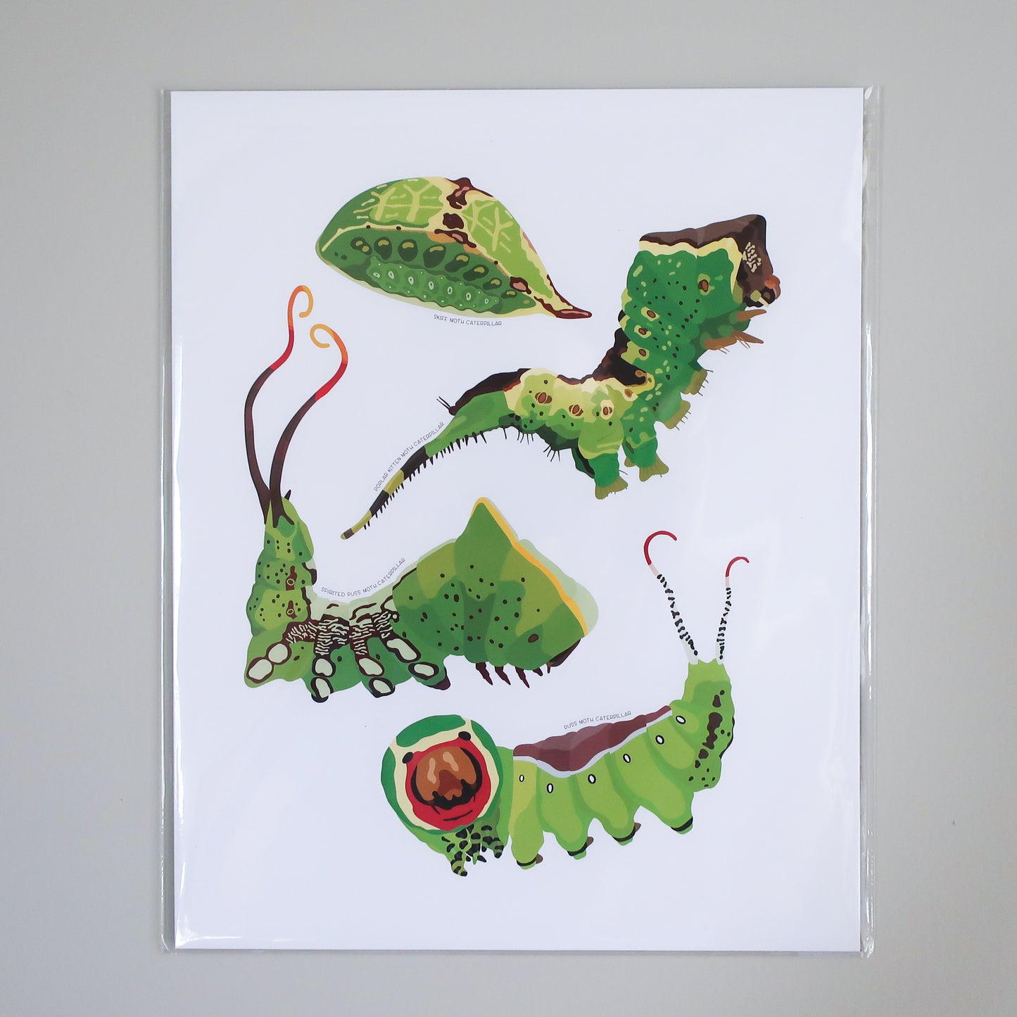 Crazy Caterpillars Print