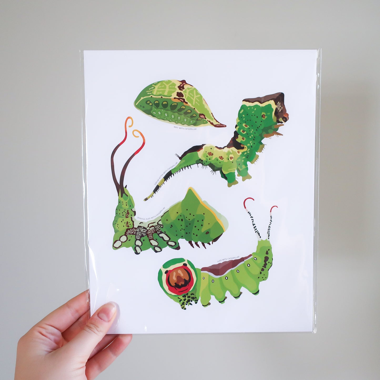 Crazy Caterpillars Print