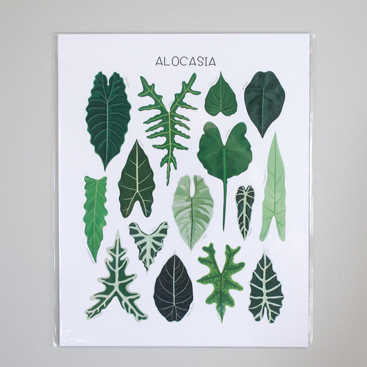 Alocasia Print