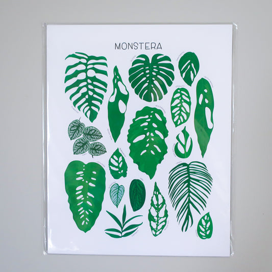 Monstera Print