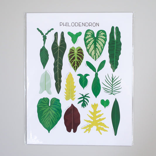 Philodendron Print