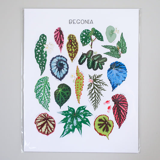 Begonia Print