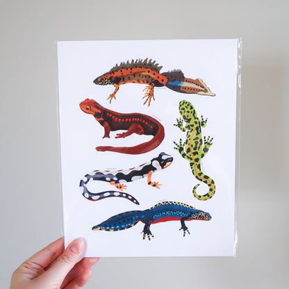 Newts Print