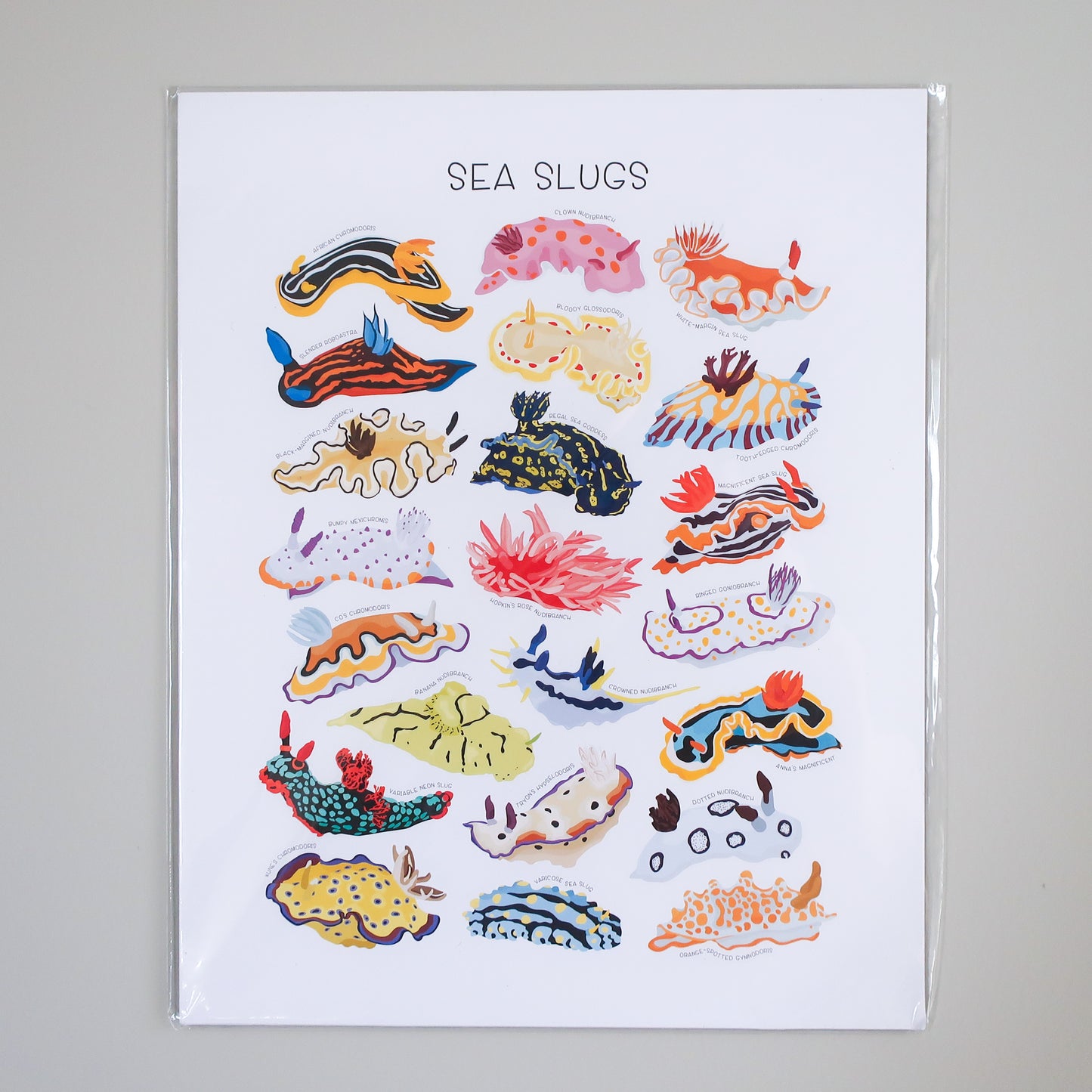 Sea Slug Print