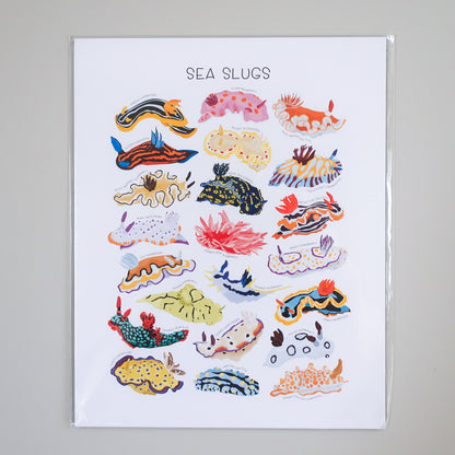 Sea Slug Print