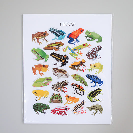 Frogs Print