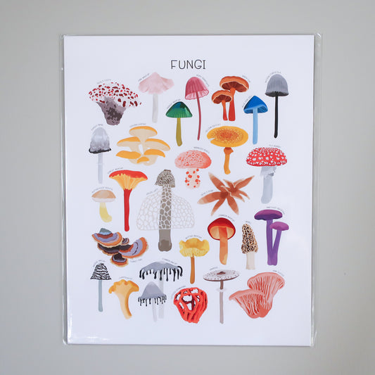 Fungi Print