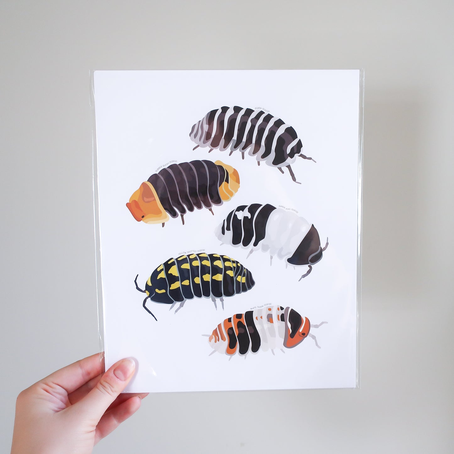 Isopods Print