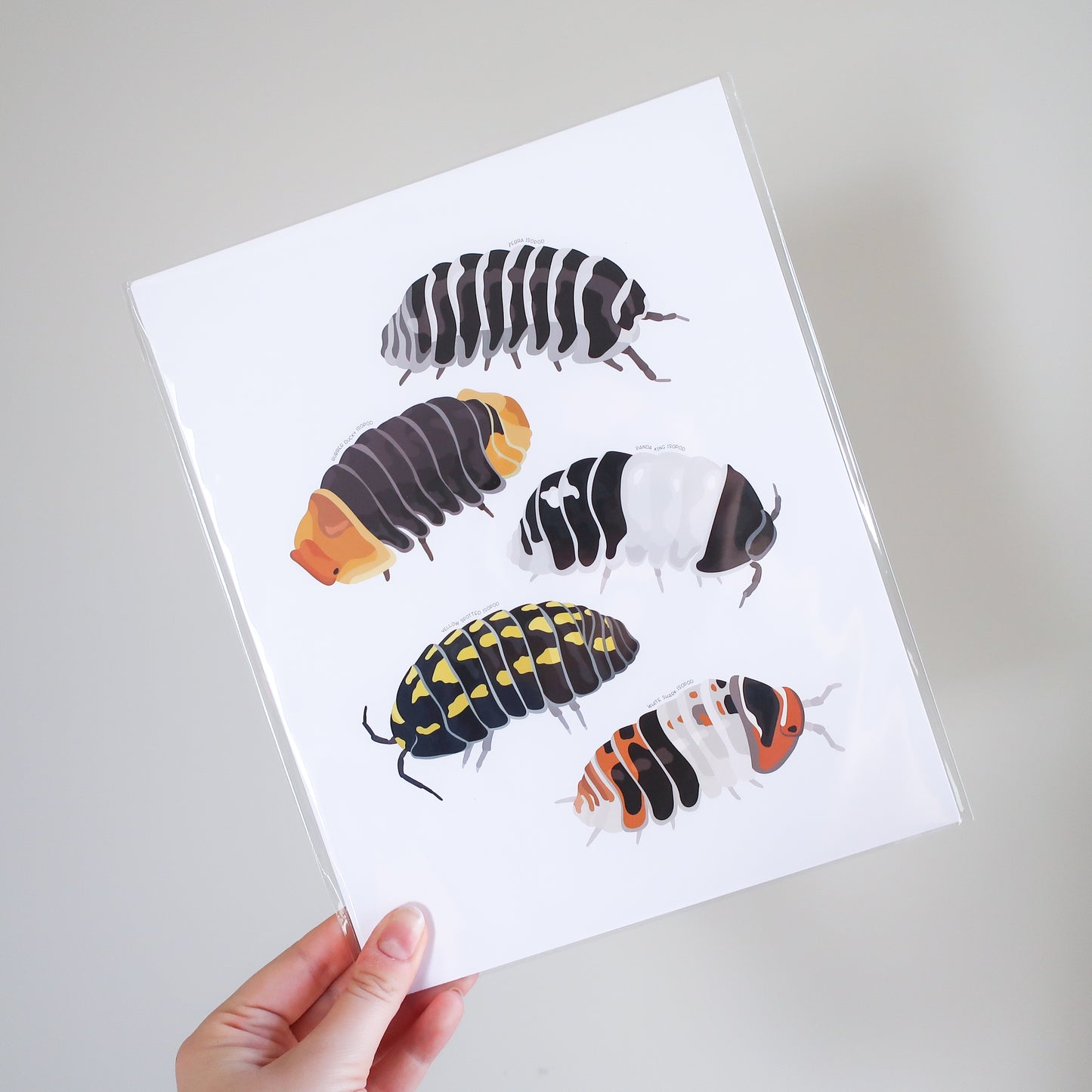 Isopods Print