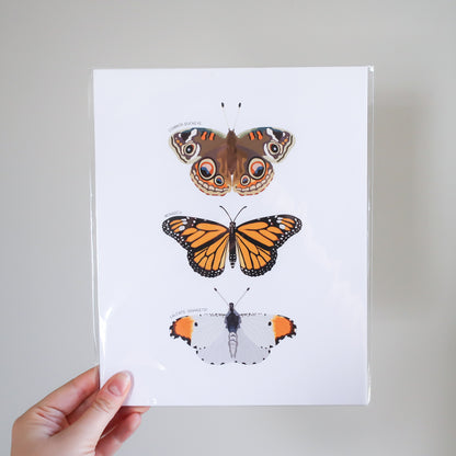 Orange Butterfly Trio Print