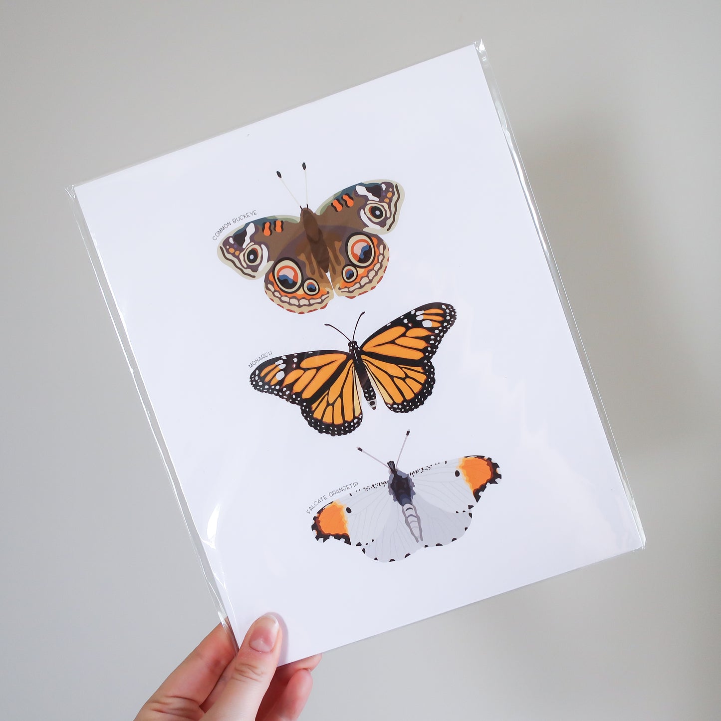 Orange Butterfly Trio Print